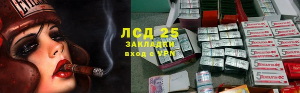 прущие грибы Магадан