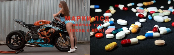 эйфоретик Магас