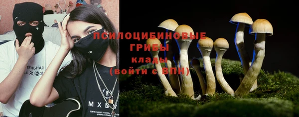 ALPHA PVP Лабытнанги