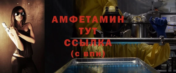 прущие грибы Магадан