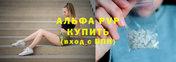 прущие грибы Магадан