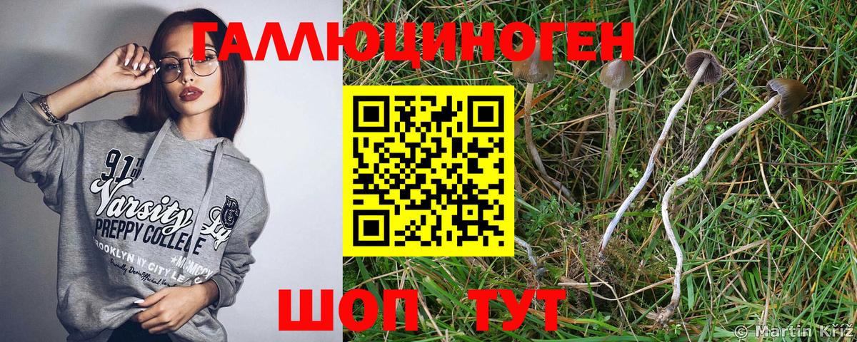 Псилоцибиновые грибы Cubensis  Псилоцибиновые грибы мухоморы  Зеленодольск  Вход с VPN 