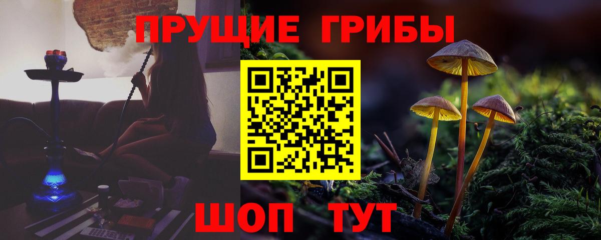 Галлюциногенные грибы Magic Shrooms Зеленодольск